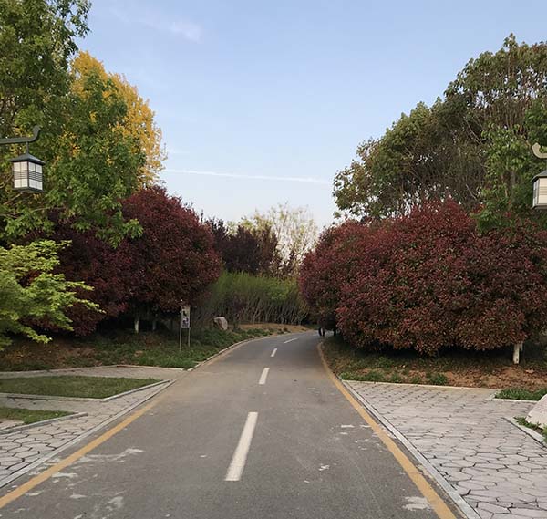 施工现场