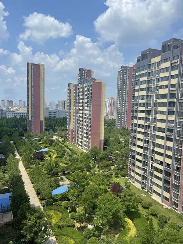 绿化后的车库顶板