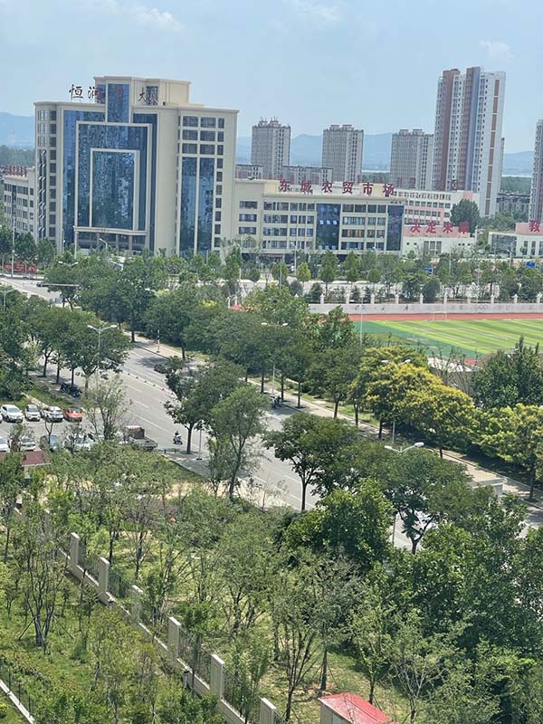 绿化后的车库顶板